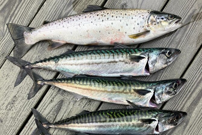 Inshore fishing in the Drangefjord - Drangefjord after-school hours, where the day stays local