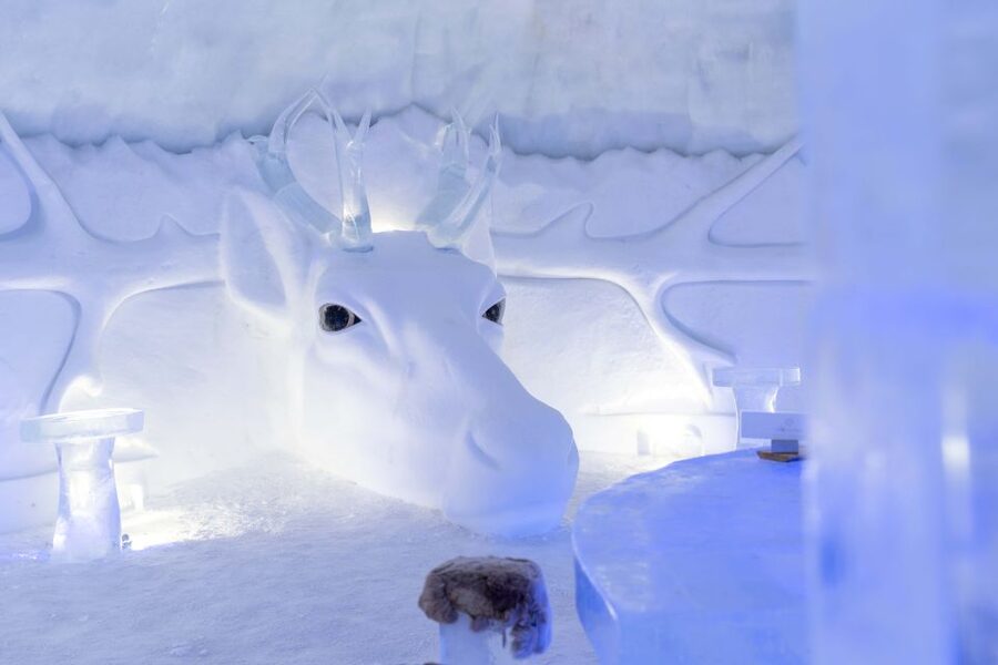 Kirkenes: Snowhotel Entrance Ticket - Quick hits before you go