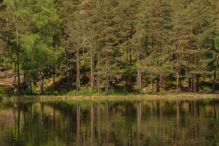 Lake walk and campfire - Should you book the Lake walk and campfire tour?