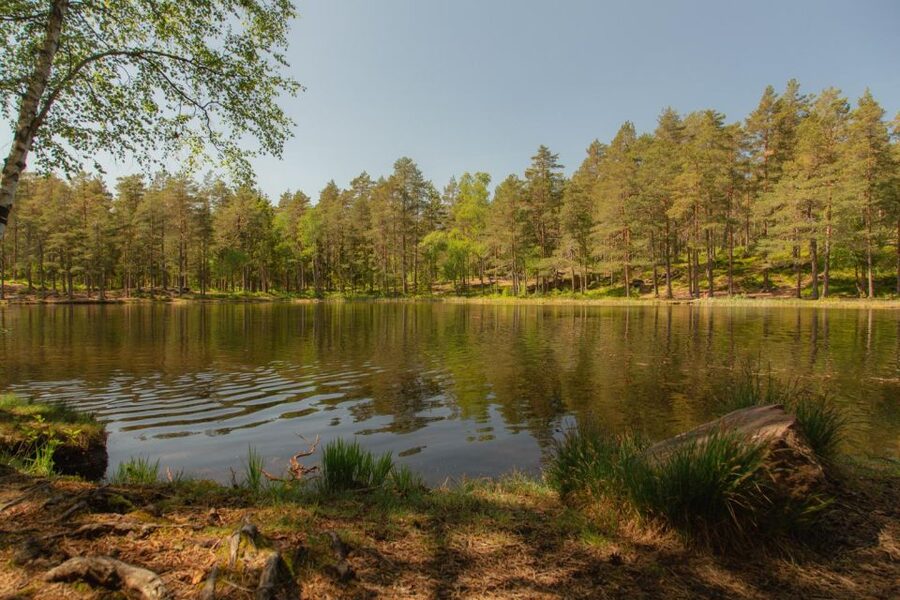 Lake walk and campfire - From Backstube Opera to Sognsvann, the easy way