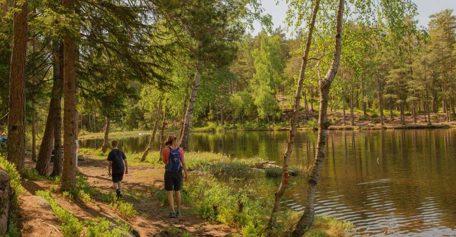 Lake walk and campfire - Campfire lessons and a lakeside BBQ break