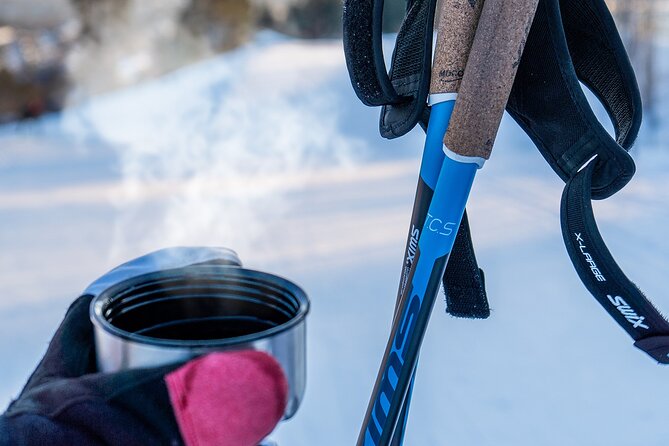 Learn Nordic Skiing - Private Class with Professional Instructor - Price and Logistics, and Whether It Feels Like Good Value