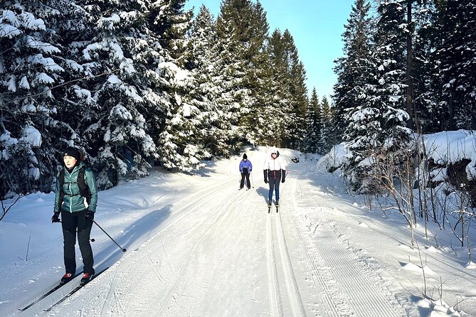 Learn Nordic Skiing - Private Class with Professional Instructor - The Flow of the Session, From Basics to Going Solo