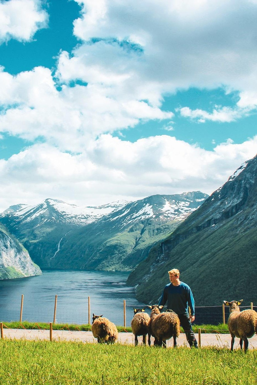 Ljøen, Hellesylt: Ljøen Farm Tour - Price and value at $62 for a one-hour excursion