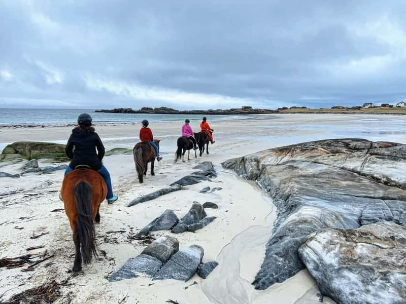Lofoten: Guided Horse Riding Tour Over Hov and Hovsund - Key Highlights Worth Planning For