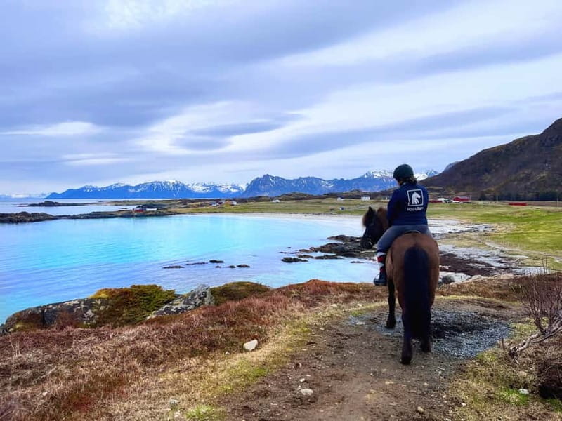 Lofoten: Guided Horse Riding Tour Over Hov and Hovsund - Where You Start at Hov Gård, and What Happens Before You Ride