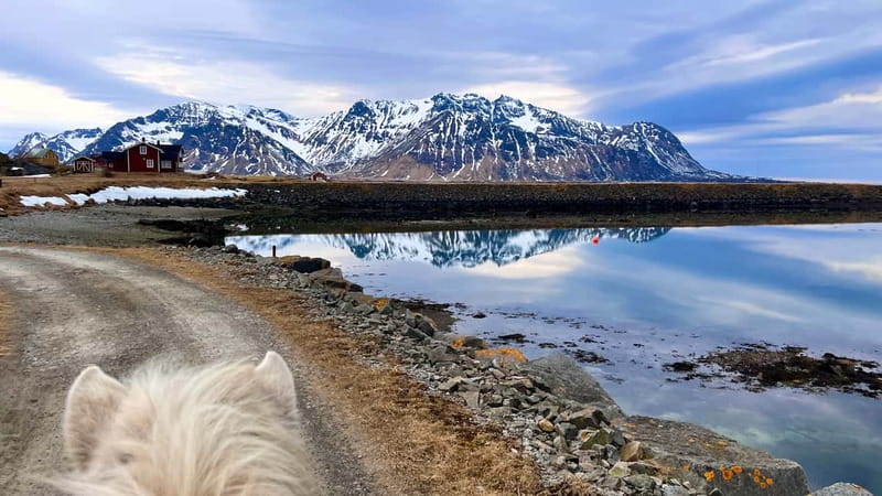 Lofoten: Guided Horse Riding Tour Over Hov and Hovsund - Hovsund Fishing Village and the Traditional Fish-Drying Racks