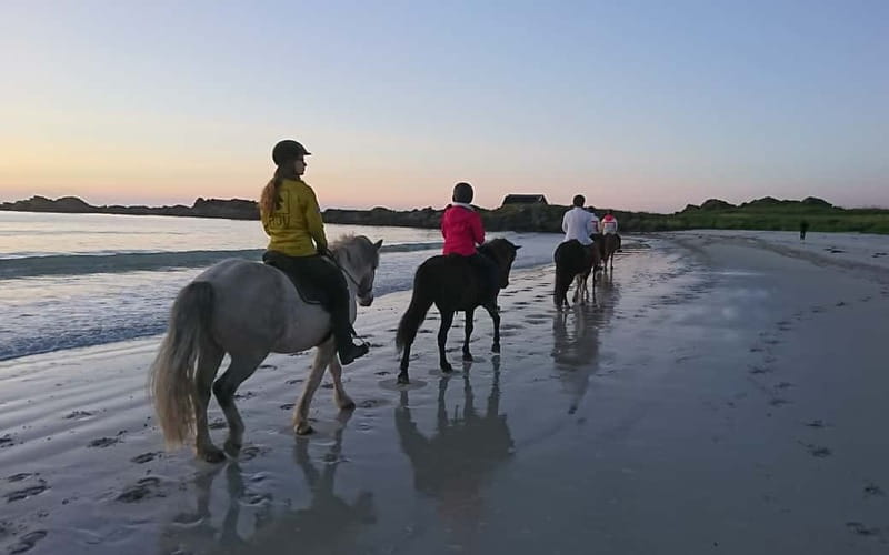 Lofoten: Guided Horse Riding Tour Over Hov and Hovsund - Viking Remnants You Can See From the Saddle