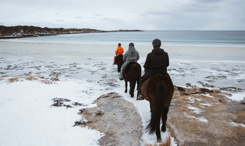 Lofoten: Guided Horse Riding Tour Over Hov and Hovsund - What 1.5 Hours Feels Like, and Why the Timing Works