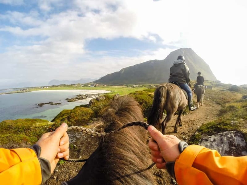 Lofoten: Guided Horse Riding Tour Over Hov and Hovsund - A Slow Ride Along Gimsøya’s Arctic Beach at a Pace You Control