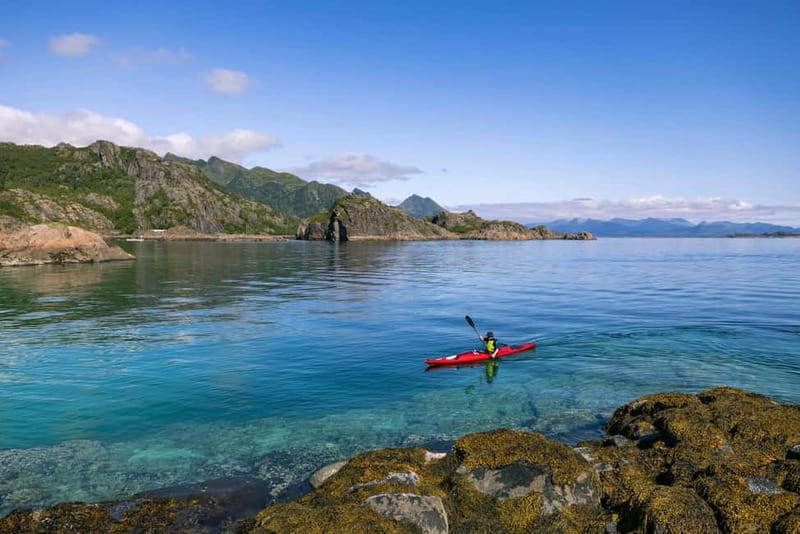 Lofoten: Guided Kayak Experience - Price and Value: Is $83 a Fair Deal Here?