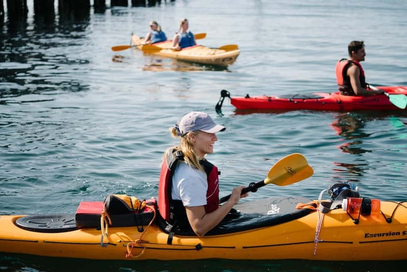 Lofoten: Guided Kayak Experience - Meet at Sjømannsgata 5, Then Get Ready to Paddle