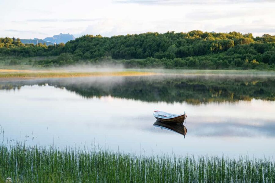 Lofoten: Half-Day Guided Tour with Photo Stops - Key things that make this tour worth your time