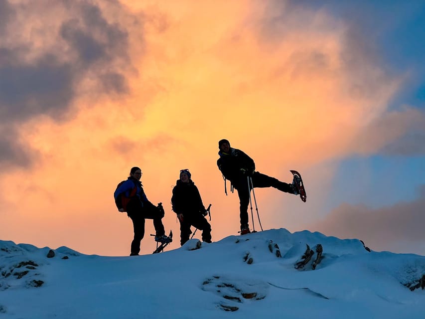 Lofoten: Half Day Snowshoe Tour - Key things to know before you go