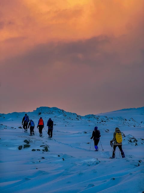 Lofoten: Half Day Snowshoe Tour - Why Lofoten winter snowshoeing feels different around Eggum
