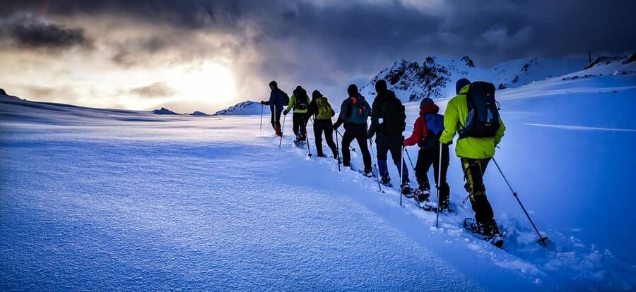Lofoten: Half Day Snowshoe Tour - Wildlife signs, winter patterns, and panoramic views you can feel in your chest