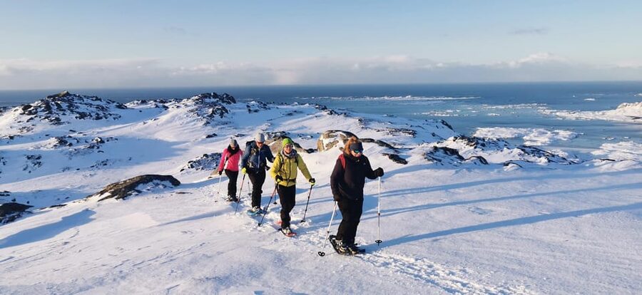Lofoten: Half Day Snowshoe Tour - Price and value: is $103 per person fair?
