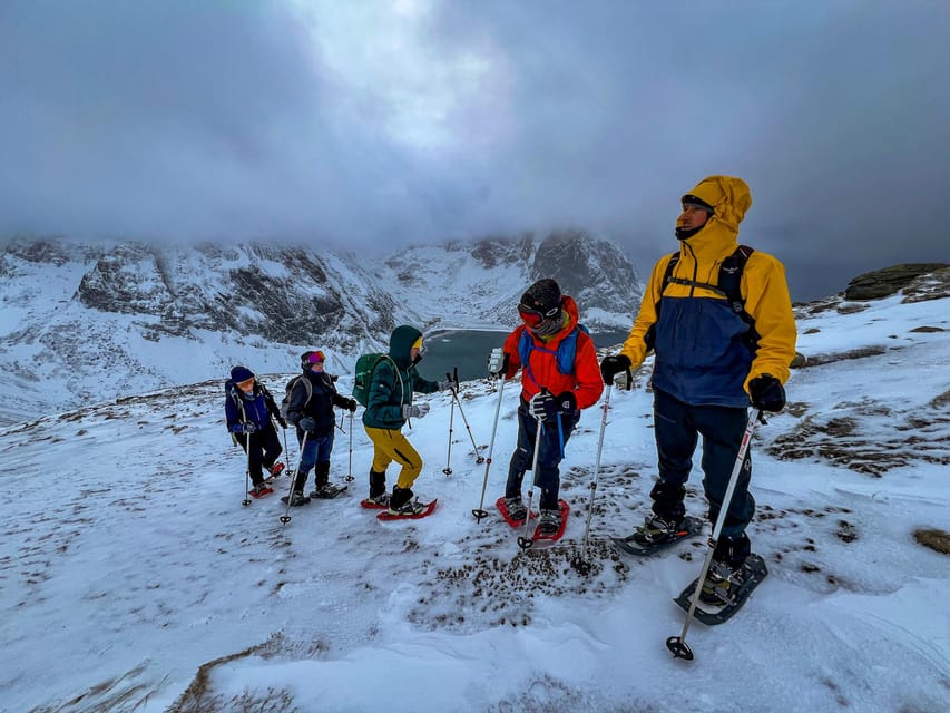 Lofoten: Half Day Snowshoe Tour - Meeting point, gear, and that first gear-check moment