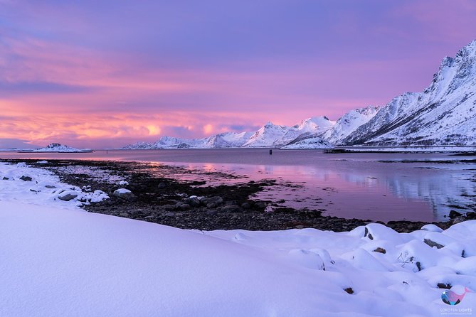 Lofoten Highlights Photo Tour - Henningsvær & Haukland - A Photo Tour Built for Short Stops and North Sea Light