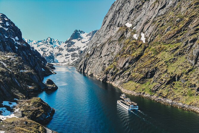 Lofoten Island: Silent Trollfjord Cruise from Svolvær - Key things I’d note before you go