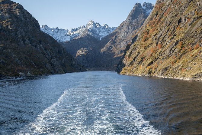Lofoten Island: Silent Trollfjord Cruise from Svolvær - The Trollfjord highlight: steep walls, white-tailed eagles, and that underwater drone