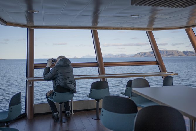 Lofoten Island: Silent Trollfjord Cruise from Svolvær - How to time your movement: seating, photo spots, and the best “slow moments”