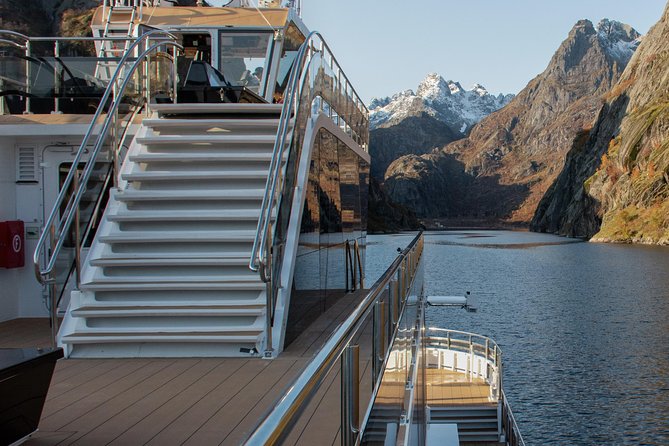 Lofoten Island: Silent Trollfjord Cruise from Svolvær - Price value: what you get for about $144.34 per person