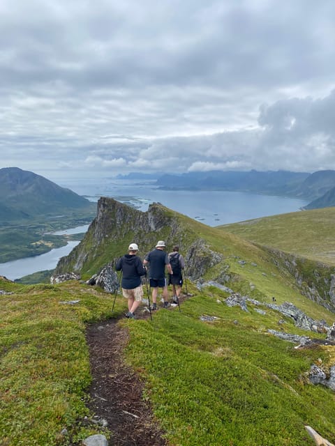Lofoten Islands: Guided Hiking Into the Wilderness - Uphill - Should you book this guided uphill hike in Lofoten?