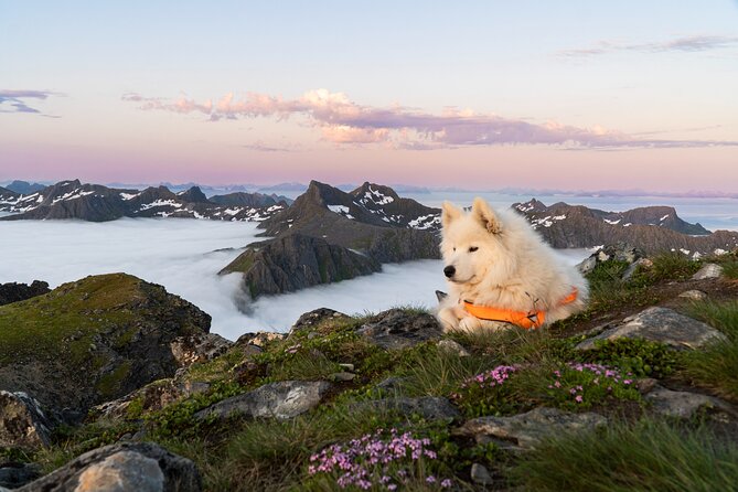 Lofoten Islands: Hiking Into the Wilderness - Kleppstadheia Hike: What to Expect on the Mountain Peak Climb