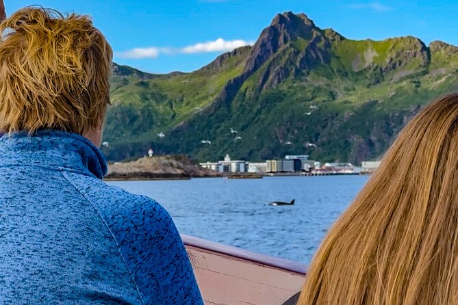 Lofoten Islands Private Midnight Sun Yacht Cruise from Svolvær - Key highlights I’d plan around