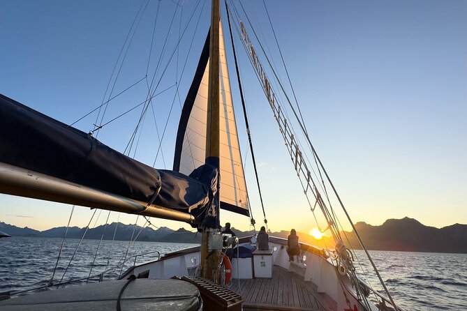 Lofoten Islands Private Midnight Sun Yacht Cruise from Svolvær - Midnight sun sailing from Svolvær, what to expect on the water