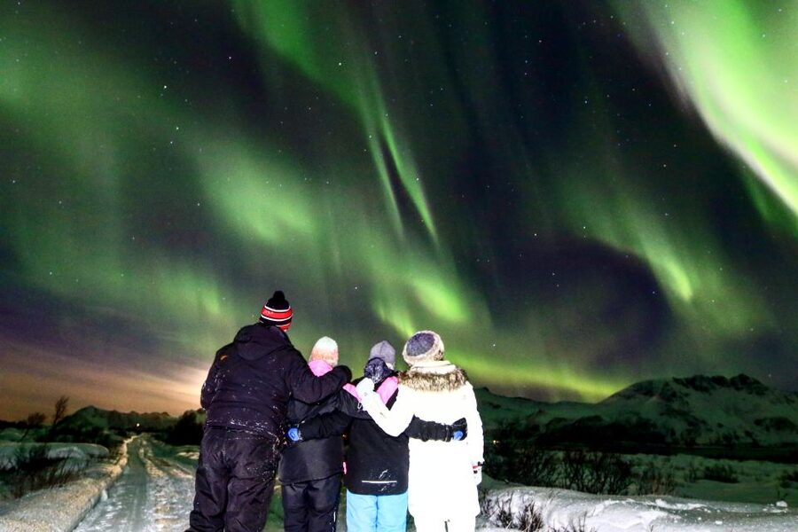 Lofoten: Northern Lights Tour with Photographer - Small group by minivan or minibus, and why that helps your photos