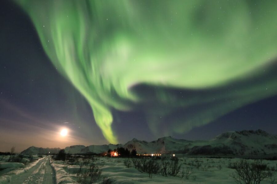 Lofoten: Northern Lights Tour with Photographer - Price and value: what $152 covers, and what it does not
