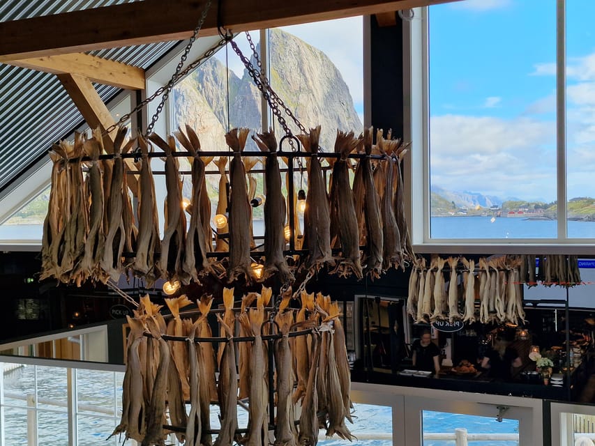 Lofoten: Reine, Hamnøy, and Skariskøya Photo Tour - The local pro guide, moose sightings, and tips that actually help you shoot