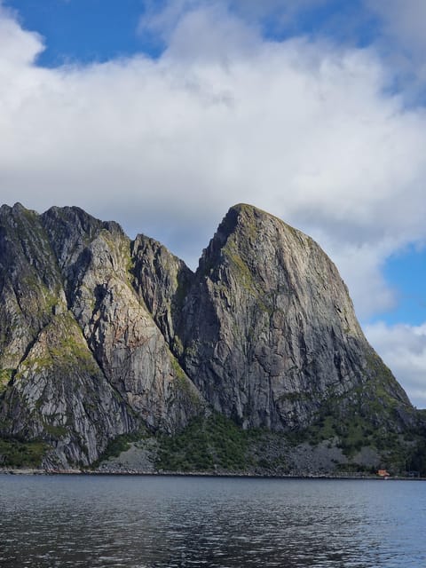 Lofoten: Reine, Hamnøy, and Skariskøya Photo Tour - Small-group pace and comfort in a 9-seat van