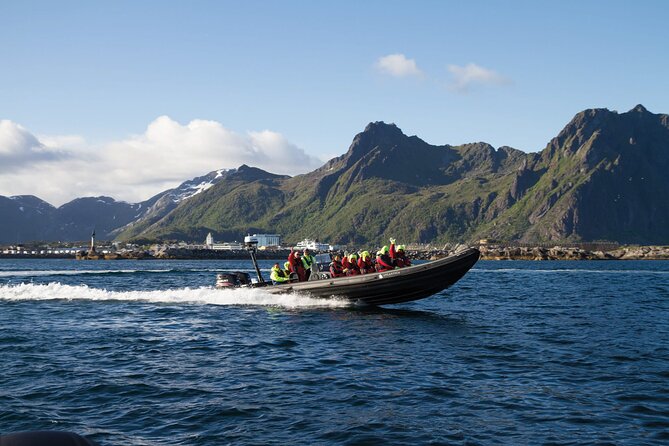 Lofoten RIB Sea Eagle Safari and Trollfjord Cruise - Key things to know before you go