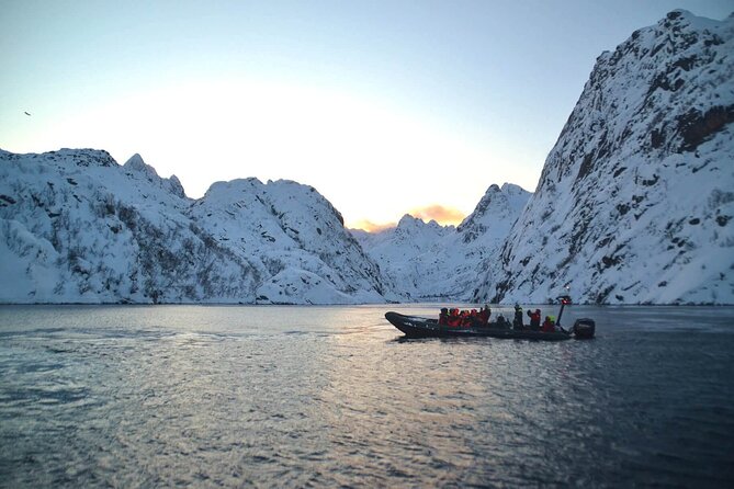 Lofoten RIB Sea Eagle Safari and Trollfjord Cruise - Meeting at Torget 22 and getting your bearings quickly