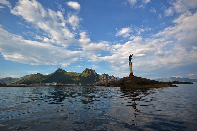 Lofoten RIB Sea Eagle Safari and Trollfjord Cruise - Value check: is $128.94 for two hours worth it?