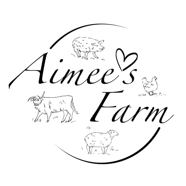 Lofoten (Stamsund and Leknes): Aimees Farm Experience - Farm tour time: Highland cattle and free-range pigs