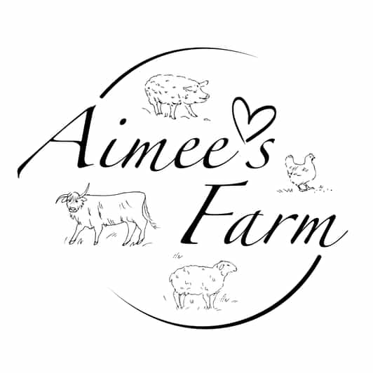 Lofoten (Stamsund and Leknes): Aimees Farm Experience - Getting to Valbergsveien 48, and what 3 hours feels like