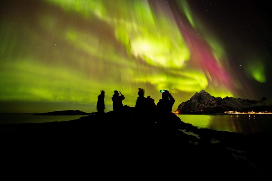 Lofoten: The Aurora Jæger – Northern Lights Hunt with Local - Key highlights worth planning around