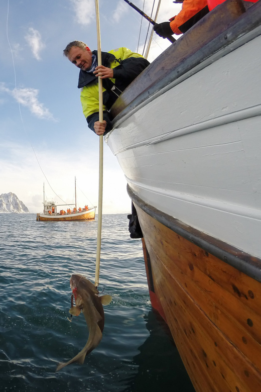 Lofoten: Traditional Fishing Trip - Key things to know before you go