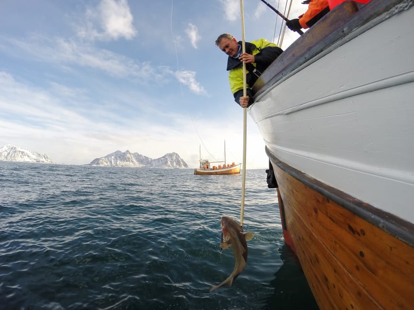 Lofoten: Traditional Fishing Trip - Timing on the water: why 4 hours is the sweet spot