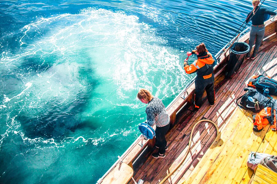 Lofoten: Traditional Fishing Trip - Crew guidance quality: what to count on as a beginner