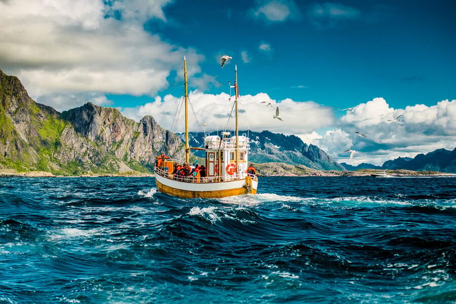Lofoten: Traditional Fishing Trip - What you can catch in Lofoten, by season