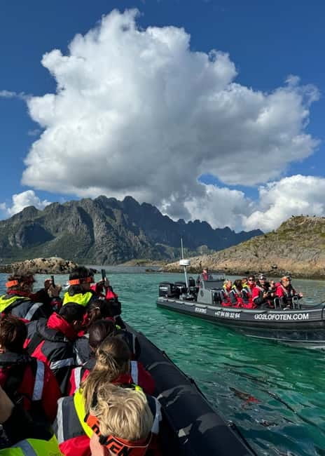Lofoten: Trollfjord Sea Eagle Safari by RIB Boat - Should You Book the Trollfjord Sea Eagle Safari by RIB Boat?