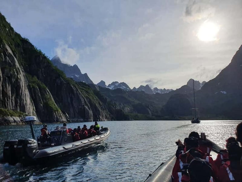Lofoten: Trollfjord Sea Eagle Safari by RIB Boat - Why Trollfjord on a RIB Boat Feels Like Lofoten’s Real Speed