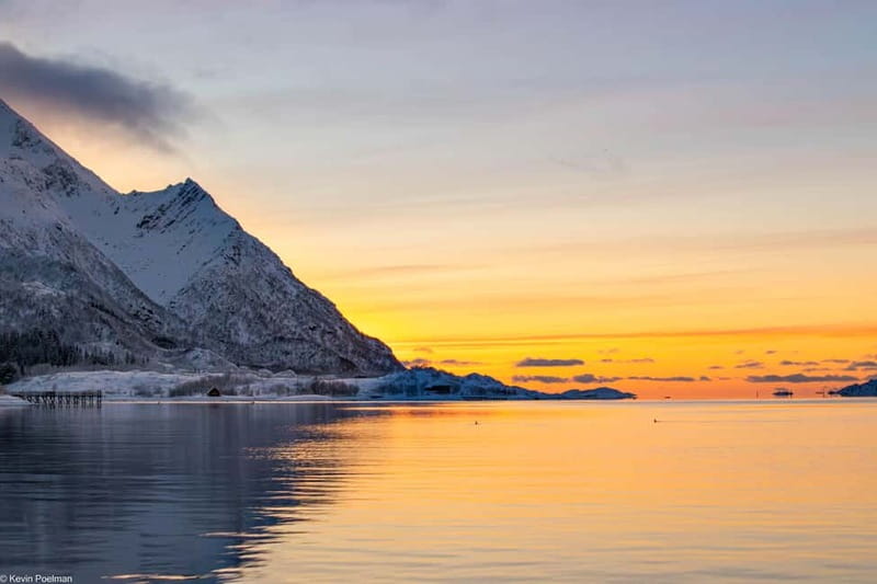 Lofoten: Trollfjord Sea Eagle Safari by RIB Boat - Viking Stories on the Route, Told in Plain Human Terms