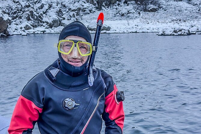 Lofoten Unique Snorkeling Experience in Dry Suit - What you’ll see: kelp forests, algae fields, urchins, and real Arctic creatures