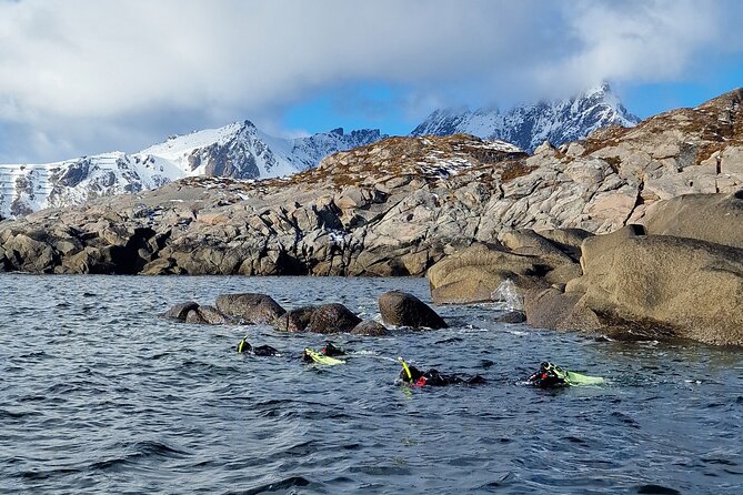 Lofoten Unique Snorkeling Experience in Dry Suit - Meeting point, timing, and what your 3 hours actually feel like